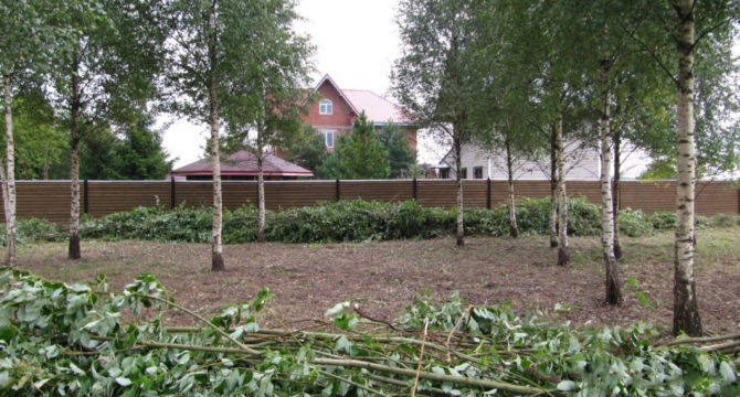 Расчистка участка от мелколесья и кустарников